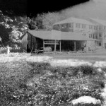 Boy's House (Library)