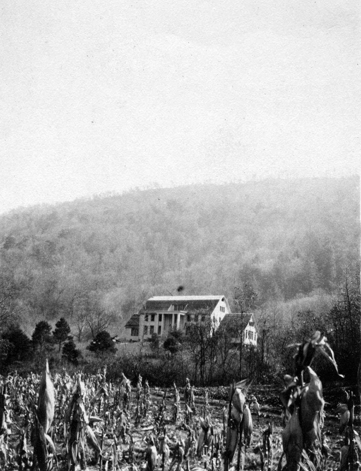 farm agricultural correspondence 1919