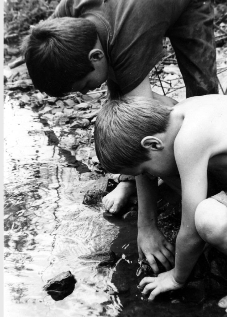 Friends & Neighbors - VI-51 - Capturing a snapping turtle