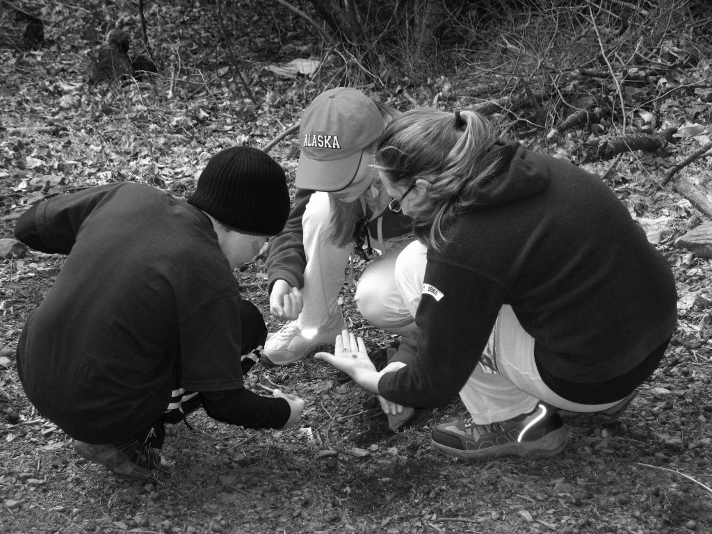 Western Elementary 022 bw