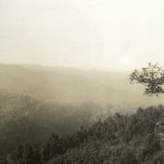 Little Shepherd Trail