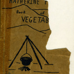Katherine Pettit Dye Book