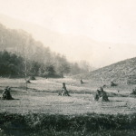 XII Helen de Long Photograph Album