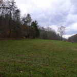 P1060559.jpg