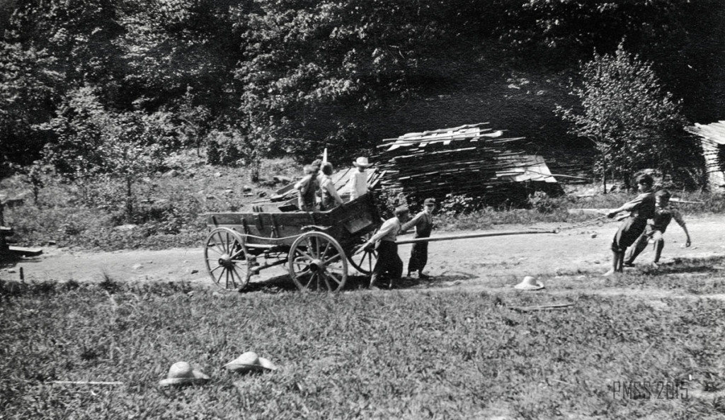Sawmill. Hauling cut lumber from the mill to stack for drying, c. 1913-14 roe_028a.jpg