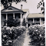 Angela Melville Album II - Part II