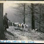 Angela Melville Album II - Part II