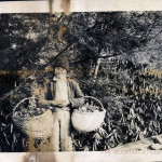 Angela Melville Album II - Part IV