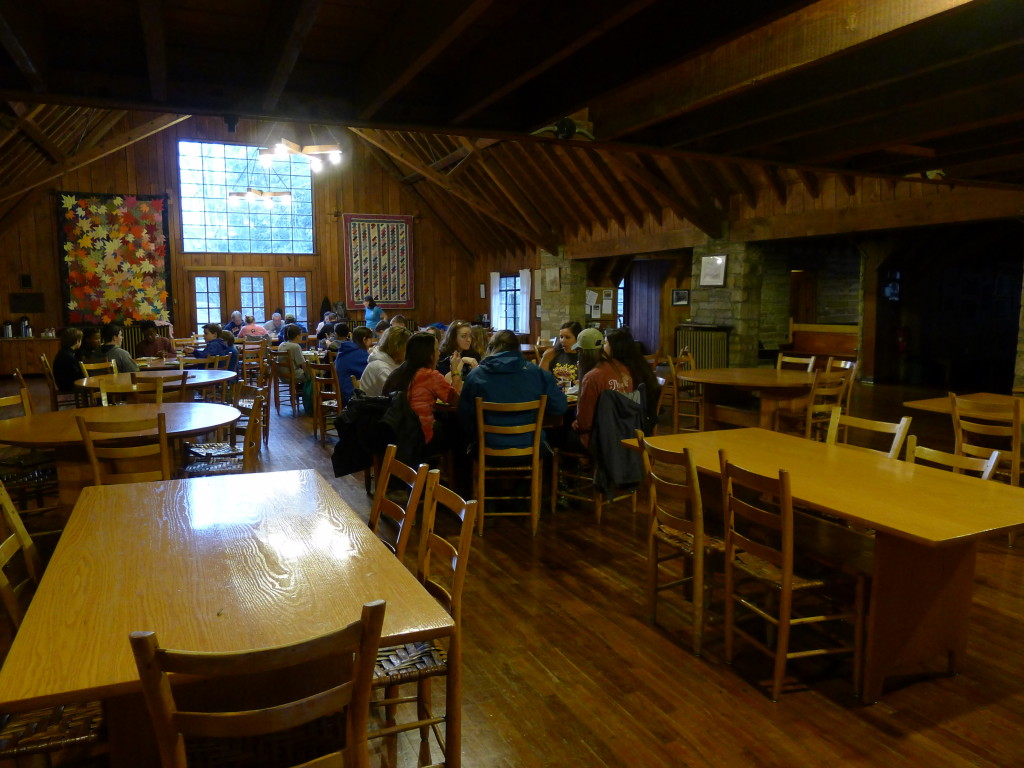 James Madison Alpha Sigma Tau volunteers dine together at Laurel House. 2015