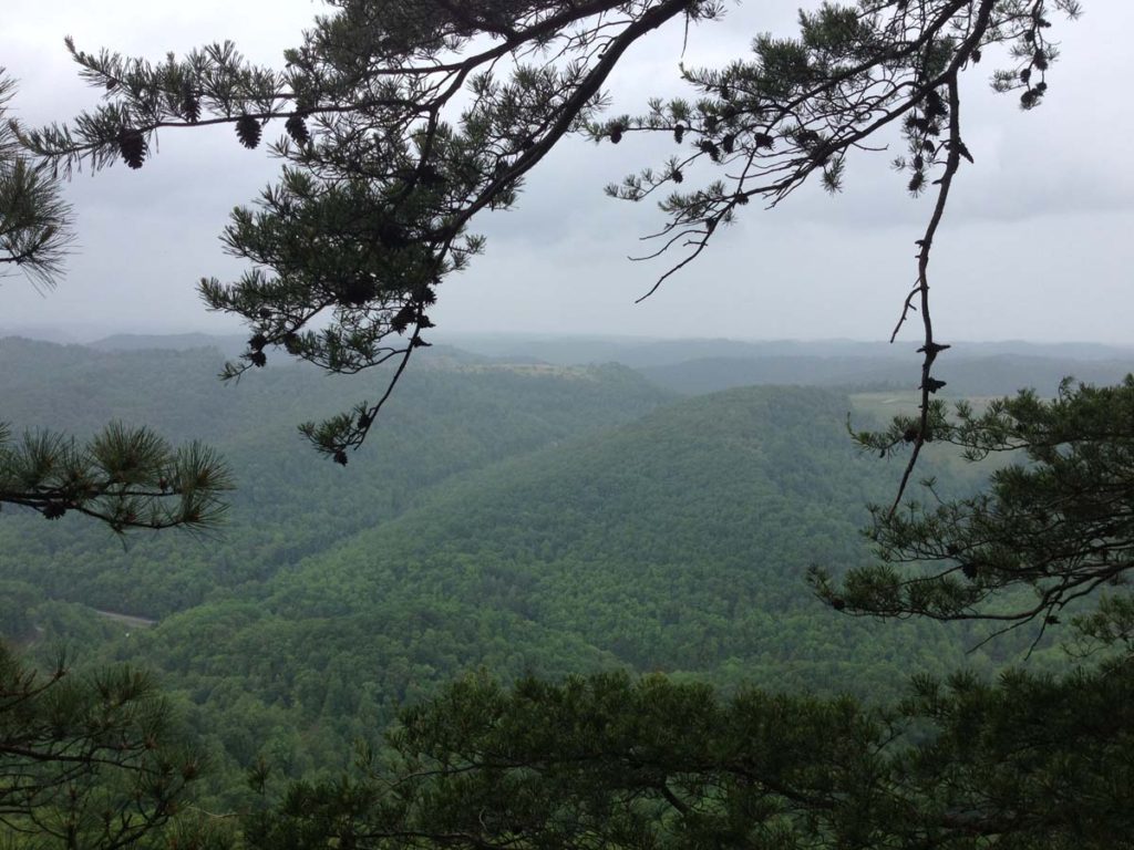 Little Shepherd Trail