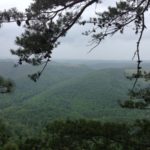 Little Shepherd Trail