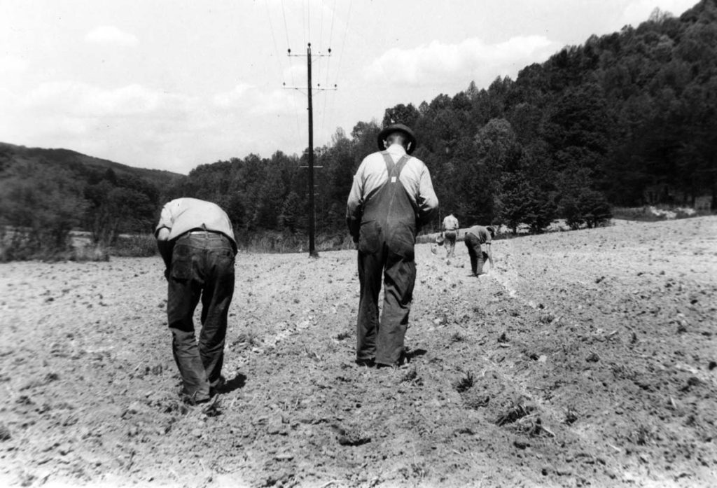 VII 63 Life Work Maintenance, Farm, Grounds part I