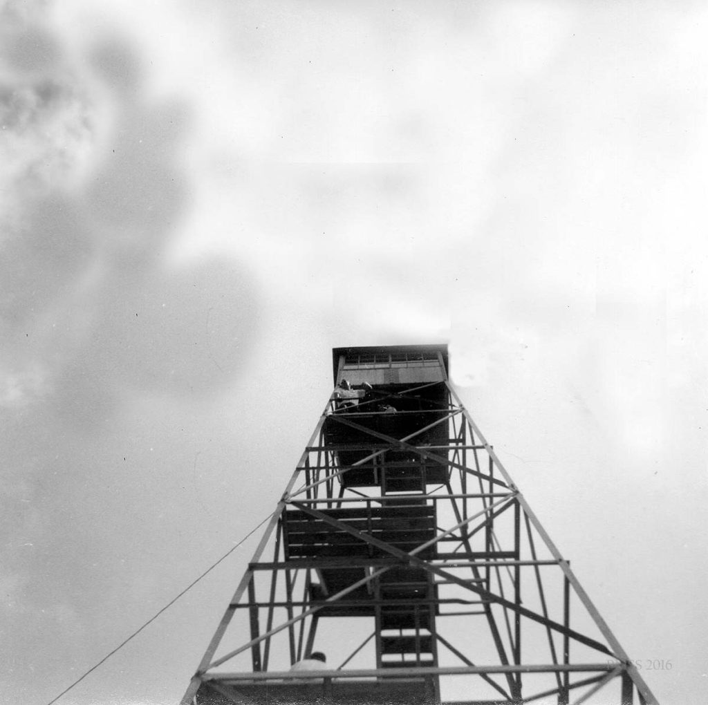 hayes_2015_019_mod