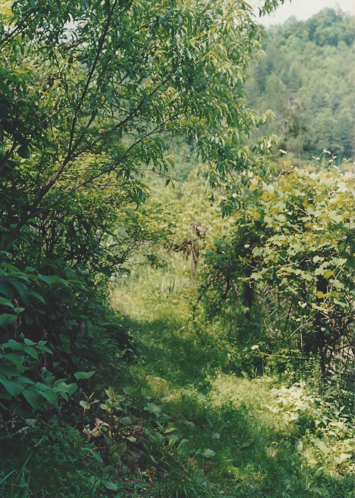 hayes_garden_12