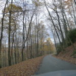 Laden Trail North Side of Pine Mountain