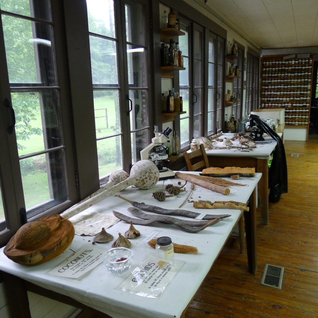 Ellwood J. Carr Botanical Collection, PMSS Plant Center.
