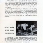 Save the Children brochure
